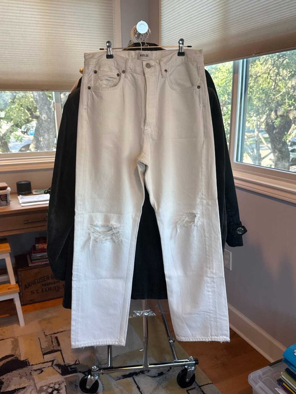 AGOLDE '90s Jean in Vanish